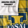 La Salle University Campus Plaid Spirit Silky Touch Super Soft Throw Blanket 50x60 - 4 of 4
