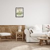 Stupell Industries French Magnolias In Spring Floating Frame Canvas Art - 3 of 4