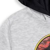 Jurassic Park Fleece Pullover Hoodie Toddler to Little Kid - 2 of 4