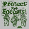 Women's Star Wars Ewok Protect Our Forests Scoop Neck - 2 of 4