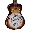 Regal RD-40 Resonator - 4 of 4