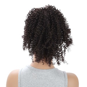 Unique Bargains Women's Fluffy Ponytail Short Hair Hair Extensions High Temperature Fiber 9.8IN 1 Pc - 1 of 4