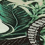 beige/green