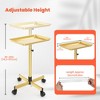 TASALON Adjustable Salon Tray with 10 Plastic Films - Gold - 2 of 4