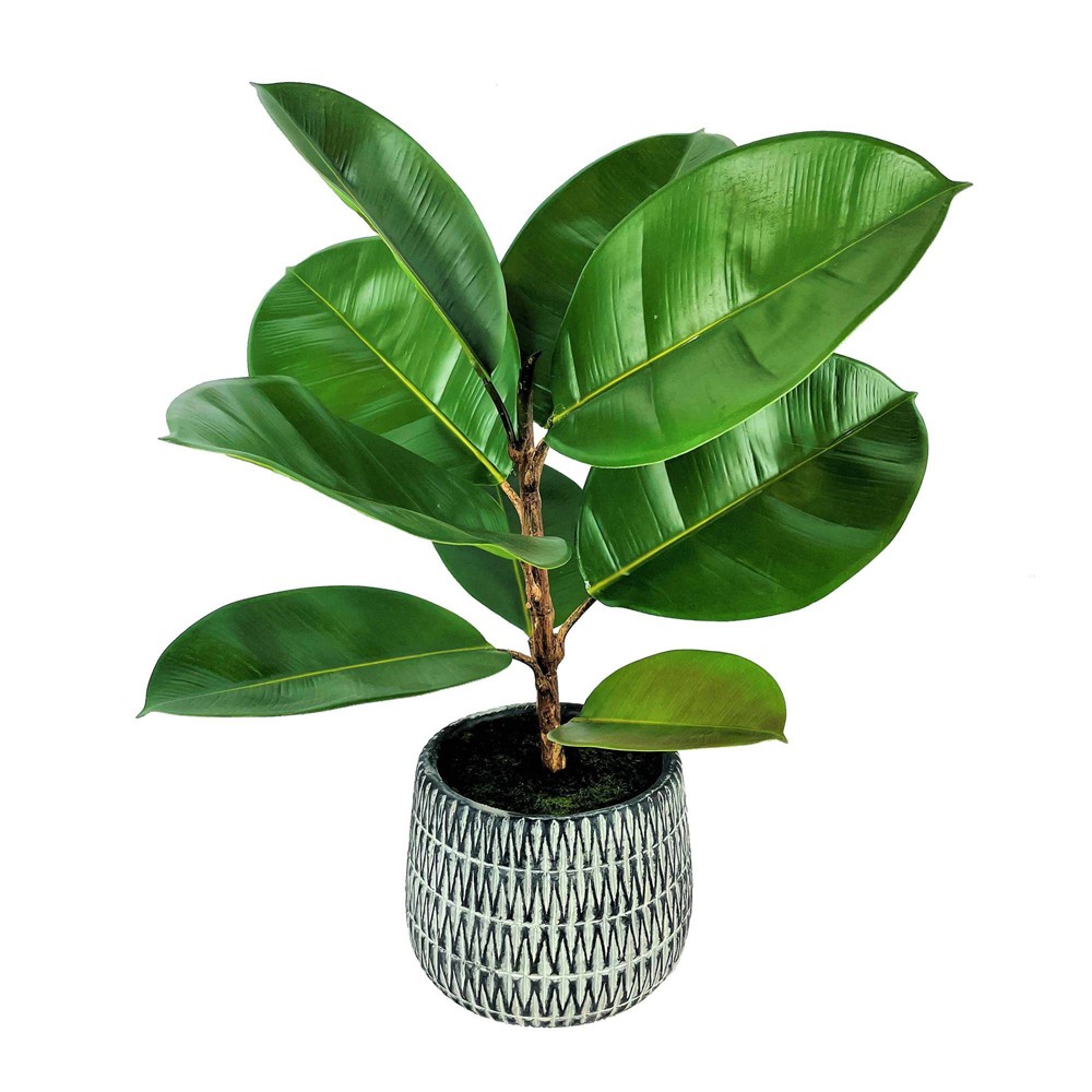 25" Artificial Rubber Plant in Black Planter - LCG Florals