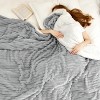 Bedsure Ultra-Plush Fleece Blanket - Warm Winter Blanket for Bed, Soft Home Decor Throw for Couch, All-Season Coziness - 2 of 4