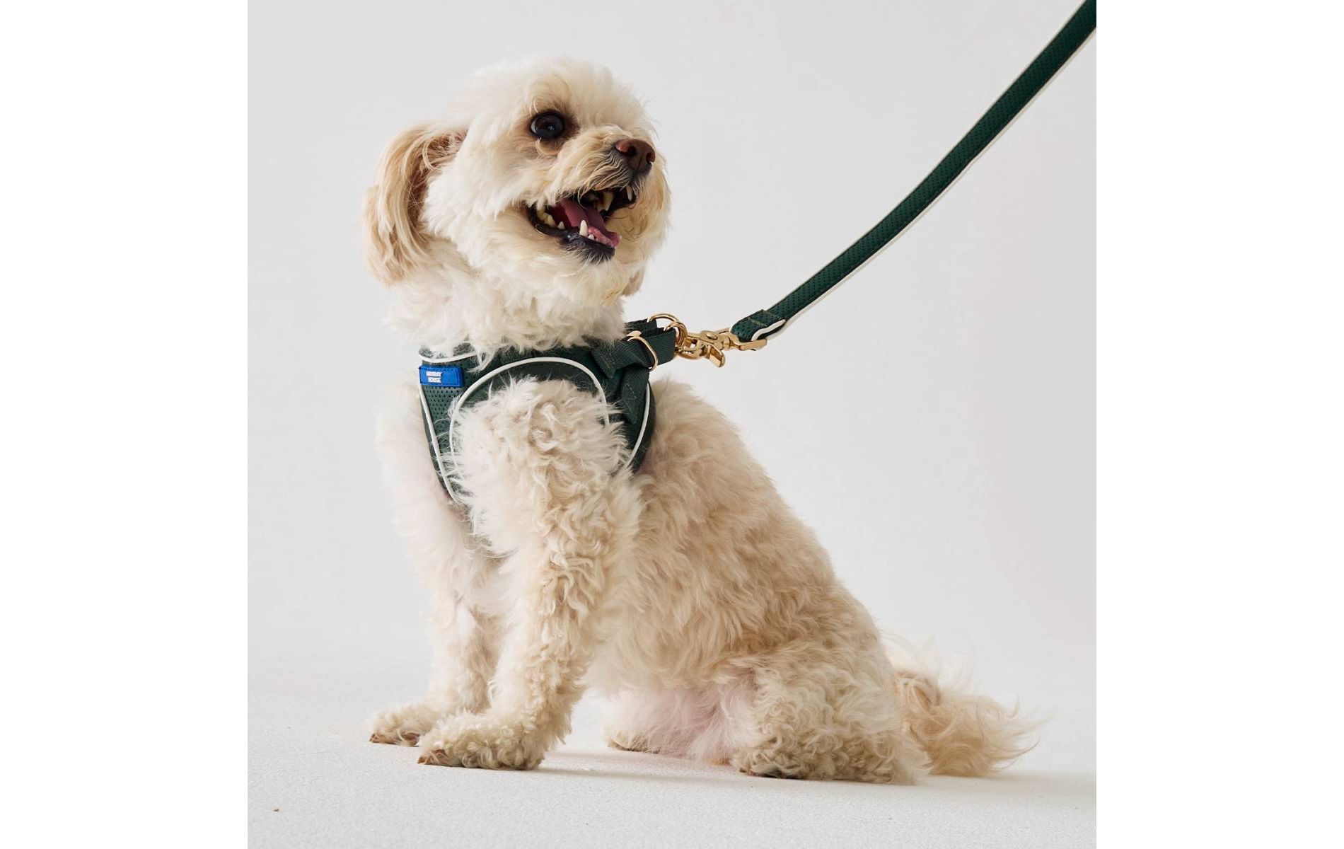 Hooray House Pierced Pleather Harness Green