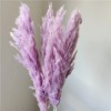 Alilang Decorative Dried Tall Grass Stems for Home Decoration and Floral Arrangements, 27.5 Inches - 3 of 4
