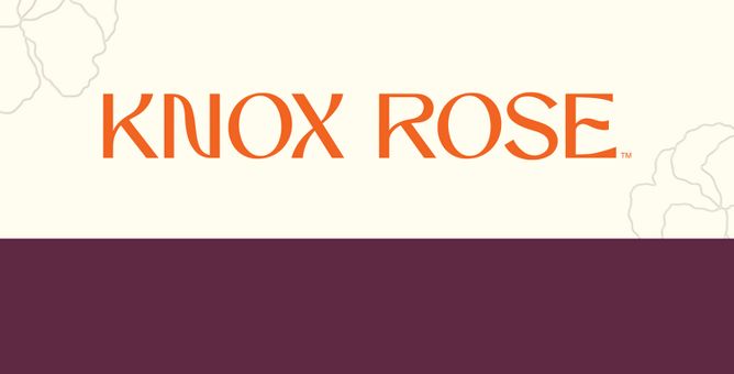 knox rose tunic top - Gem