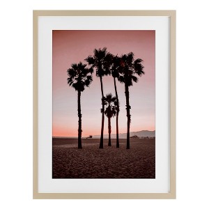 Stupell Industries Stanta Monica Palms Pink Framed Print Under Glass Art - 1 of 4