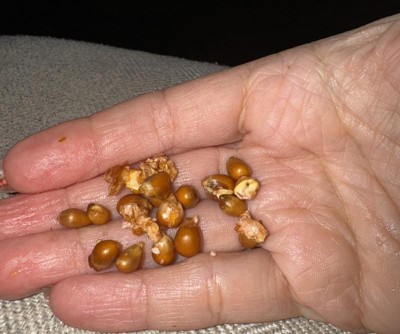 Guest review image 3 of 3, zoom in