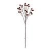 Brown Berry Spray (Set of 4) - 2 of 2