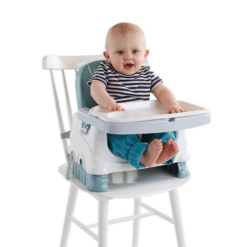 Fisher-Price Healthy Care Deluxe Booster Seat, 2 of 9