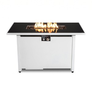 Mondawe 25" H x 42" W Outdoor Stainless Steel Fire Pit Table with Lid, 50,000 BTU Output - 1 of 4