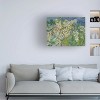 Trademark Fine Art -Vincent Van Gogh 'Blossoming Chesnut Branches' Canvas Art - 2 of 4