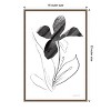 Amanti Art Paradise Plants II by Danhui Nai Canvas Wall Art Print Framed 16 x 23-in. - 3 of 4