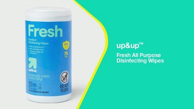 Fresh All Purpose Disinfecting Wipes - up&up™ : Target