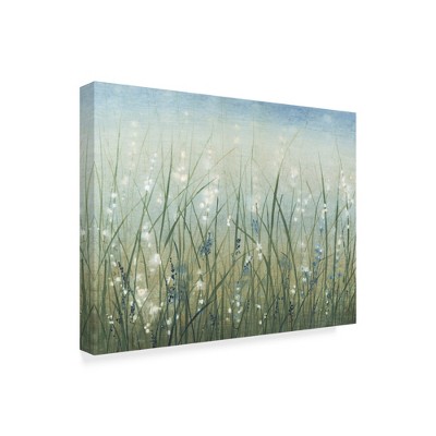 Trademark Fine Art -Tim Otoole 'Bliss Grass' Canvas Art