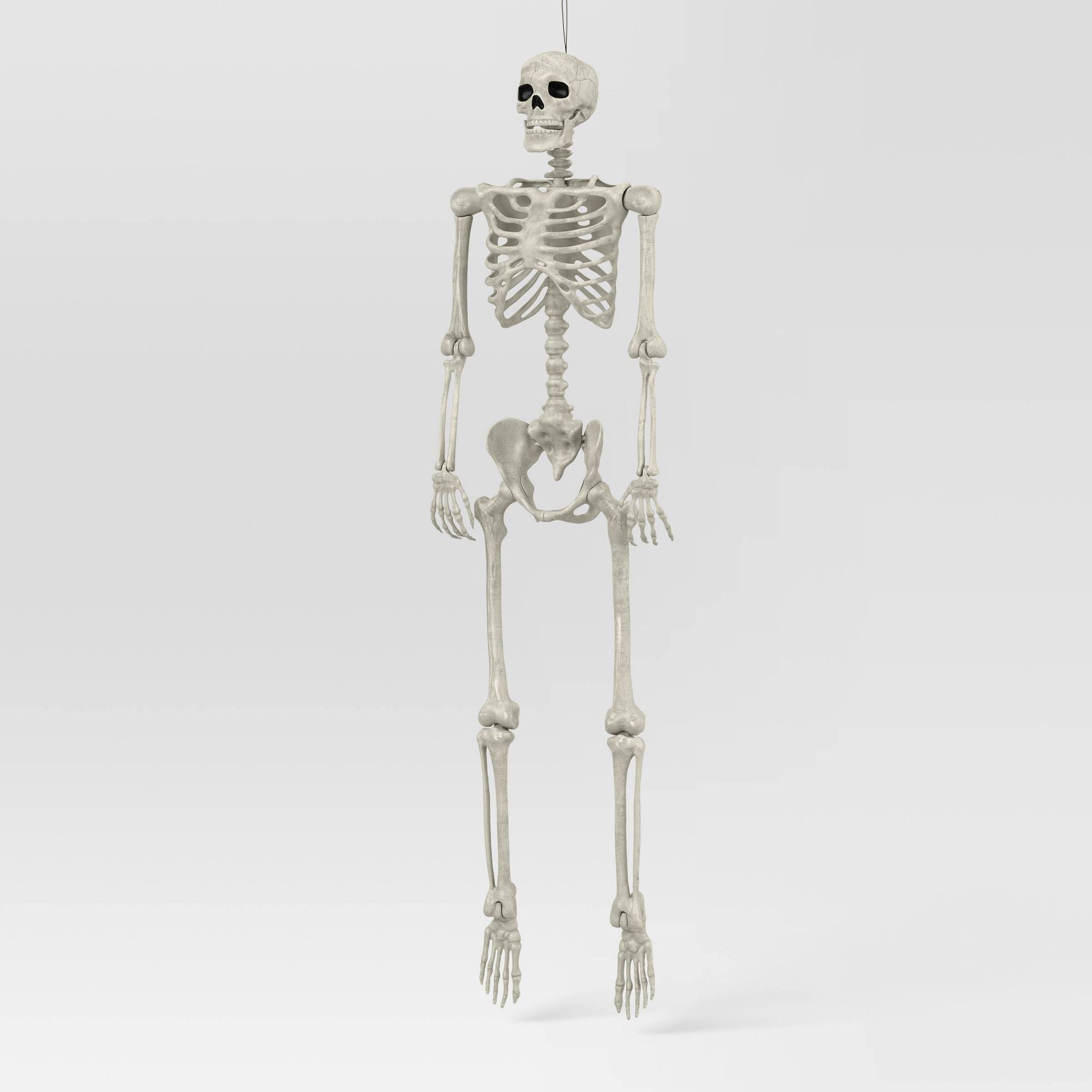 60" Poseable Bone Skeleton Halloween Decorative Prop Off-White - Hyde and EEK! Boutique™