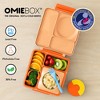 OMIEBox Insulated Bento Lunch Box with Leakproof Thermos Food Jar 3 Compartments - 3 of 4