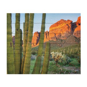 Trademark Fine Art Alan Majchrowicz Organ Pipe Cactus National Monument Arizona Wood Slat Art - 1 of 4