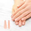 Unique Bargains Women's Elegant Fake Nails Colorful 240-pieces Per Set - 2 of 4