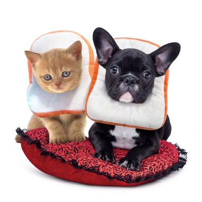 Cat Dog Surgery Recovery Collar, Bread Toast Wound Healing Protective Elizabethan Soft Pet Neck Cone Adjustable (Small, Neck Size <24cm)