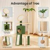 Heybly Cactus Cat Tree, Green Cat Tree, 57in Cat Tower for Indoor Cats - 3 of 4