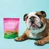 Ava's Pet Palace Turkey Poppers Freeze-Dried Dog Treat - 3oz - 4 of 4