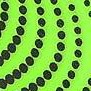 green/black