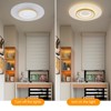 YIYIBYUS Round Dimmable LED Ceiling Light with Remote Control - 3 of 4