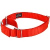Country Brook Design Martingale Heavyduty Nylon Dog Collar and Double Handle Leash - 2 of 4