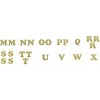 Packed Party Customizable Letter Garland - 2 of 3