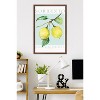 Trends International Reinders: Fruit Market - Limoncello Per Tutti Framed Wall Poster Prints - 2 of 4