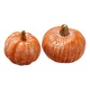 tagltd Oversized Rustic Pumpkin Salt & Pepper Set of 2 - 2 of 3