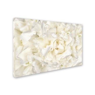 Trademark Fine Art -Cora Niele 'White Peony Flower' Canvas Art