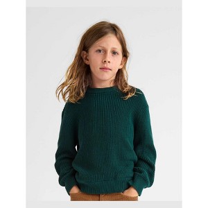 The Children's Place Boys Long Sleeve Shaker Stitch Sweater - 1 of 4