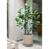 Veradek Mason Series Kona Planter Tray - 4 of 4