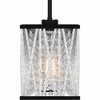 Quoizel Lighting Celeste 5 - Light Chandelier in  Matte Black - 4 of 4