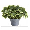 Nearly Natural 23-in Variegated Hosta Artificial Plant in Gray Planter - 2 of 3