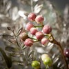 5'L Sullivans Pine And Berry Garland, Multicolored Christmas Garland - 2 of 3