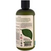 Petal Fresh Volumizing Shampoo, Rosemary & Mint, 16 fl oz (475 ml) - 3 of 3