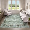 Acekool Washable Floral Area Rug, Non-Slip Low Pile Soft Carpet, Stain Resistant Indoor Rug for Living Room, Bedroom, Dining Room - 3 of 4