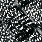 black metallic