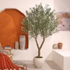 Dr.Planzen 7ft Artificial Olive Tree in White Planter - Faux Olive Tree for Indoor/Outdoor D¨¦cor, Fake Plant with Realistic Green Branches - 4 of 4