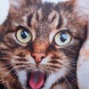 Cat Selfie Shower Curtain White - Moda at Home: Polyester Fabric, Machine Washable, Buttonhole Top - image 2 of 3