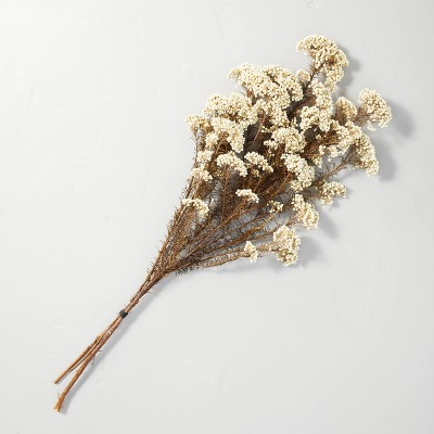 24" Preserved White Rice Flower Bundle - Hearth & Hand™ with Magnolia