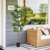 Gulches Domestic tung tree 180cm ground flower decoration artificial green plant wholesale manufacturers 1pcs/set - 2 of 4