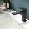 Brushed Black Single Hole Bathroom Faucet - 3 of 4