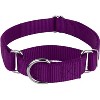 Country Brook Design Martingale Heavyduty Nylon Dog Collar - 4 of 4